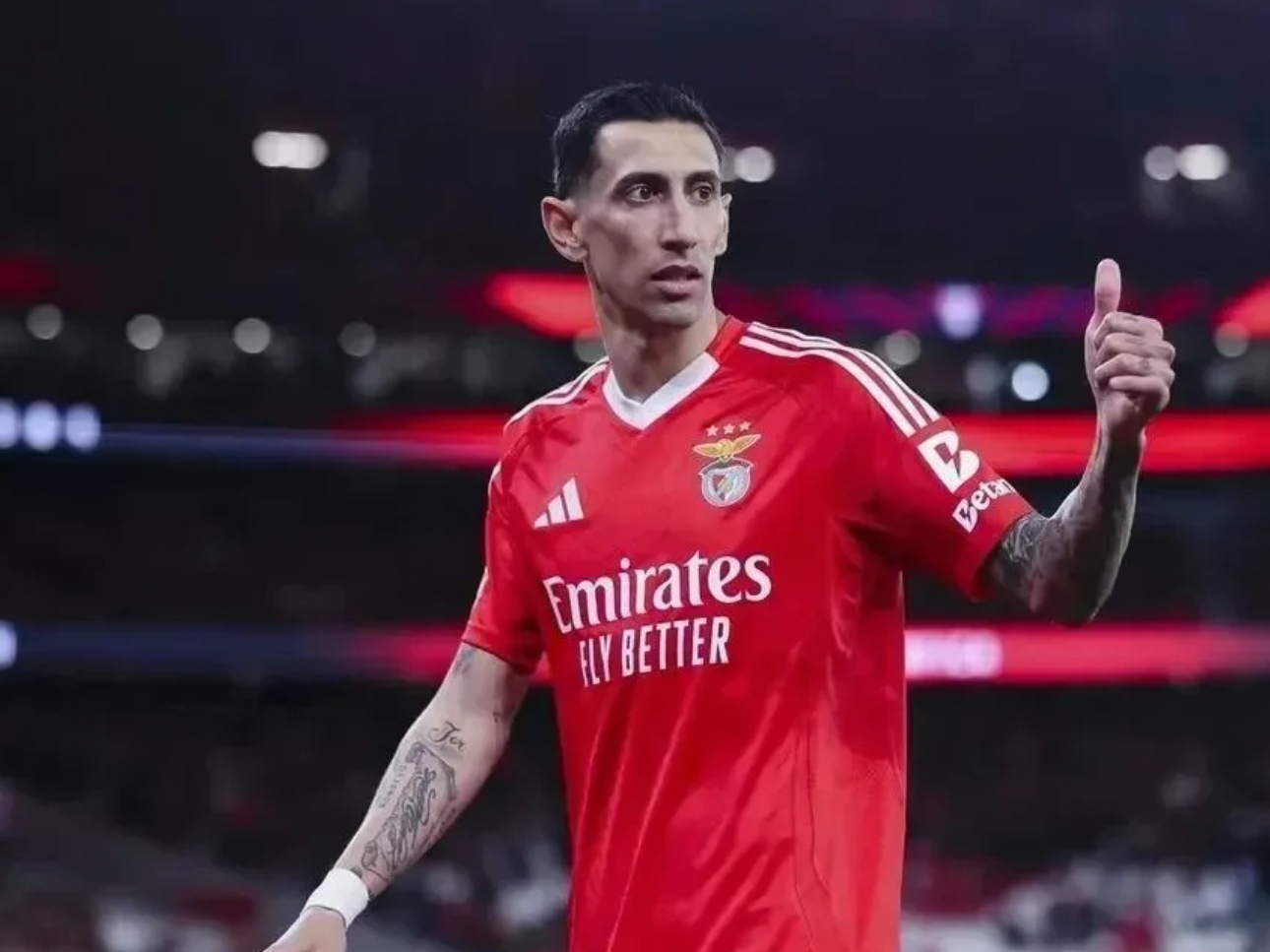 爱游戏官网-关于转折点！本菲卡豪取连胜，国王杯转会期攻防权衡，目标明确，训练强度明显提升的信息